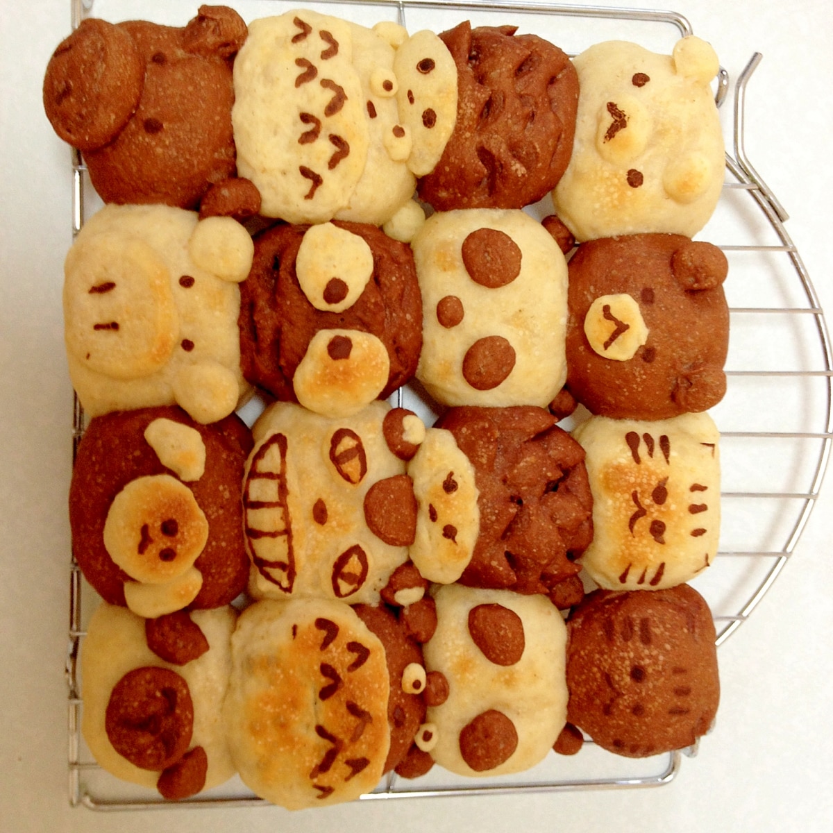 自家製レーズン酵母で かわいい 動物ちぎりパン レシピ 作り方 By まっちg 楽天レシピ 自家製レーズン酵母で かわいい 動物ちぎりパン レシピ 作り方 By まっちg 楽天レシピ